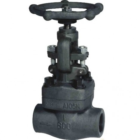 forged globe valve socket weld 800lbs a105n api602