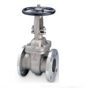 GATE VALVE A351 CF8M API603 CL150
