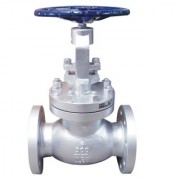 Globe Valve API 600 A216 WCB CLASS 300 RF