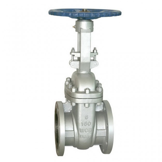 Wedge Gate Valve A216 WCB API 600 ANSI 150 RF