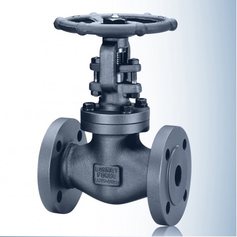 globe valve a105 flanged end