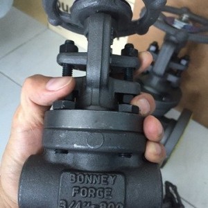 BONNEY FORGE GLOBE VALVE API 602 A105 CLASS 800 SW