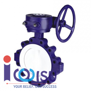 VAN BƯỚM KIỂU LUG LÓT PTFE