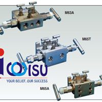 ANDERSON GREENWOOD M65T SERIES