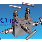 ANDERSON GREENWOOD DPM SERIES