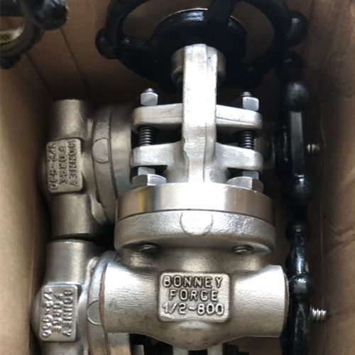 BONEY FORGE GATE VALVE CLASS 300 A182 F316