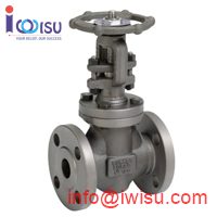 BONNEY FORGE GLOBE VALVE 300LB A351 CF8M