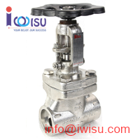 BONNEY FORGE GLOBE VALVE 1500LB A182 F316L