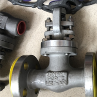 BONNEY FORGE GLOBE VALVE 2500LB A105