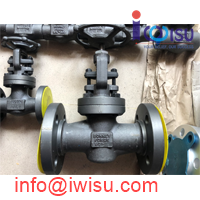 BONNEY FORGE GLOBE VALVE 800LB A182 F51