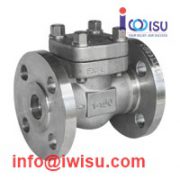 BONNEY FORGE SWING CHECK VALVE 150LB A182 F316