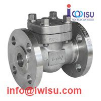 BONNEY FORGE SWING CHECK VALVE 600LB A182 F316