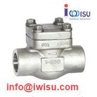 BONNEY FORGE SWING CHECK VALVE 800LB A182 F316