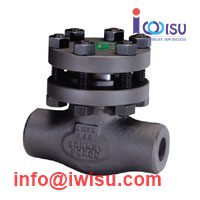 BONNEY FORGE SWING CHECK VALVE CLASS 300 LCC