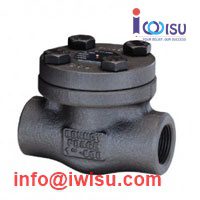 BONNEY FORGE SWING CHECK VALVE CLASS 800 A105