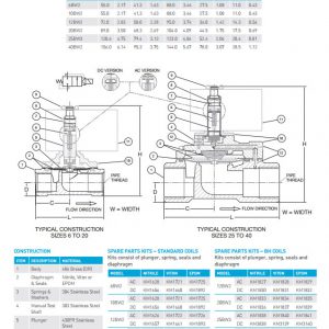 GOYEN SOLENOID VALVE BW SERIES 2 GOYEN SOLENOID VALVE BW SERIES 2