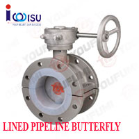 YOUFUMI LINED FLANGED TYPE BUTTERFLY VALVE