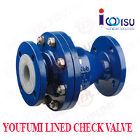 YOUFUMI LINED SWING TYPE CHECK VALVE
