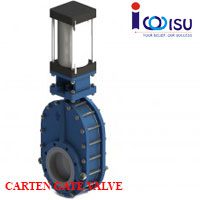 CARTEN HILIFE CERAMIC GATE VALVE
