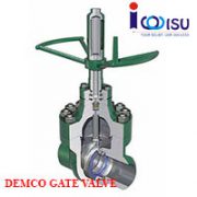DEMCO DM 5000-PSI GATE VALVE