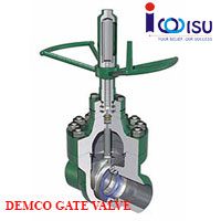 DEMCO DM 5000-PSI GATE VALVE