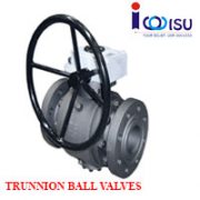 VAN BI NỐI BÍCH TAY QUAY TRUNNION