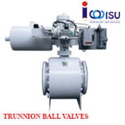 VAN BI NỐI BÍCH ĐẦU ĐIỀU KHIỂN TRUNNION