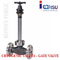CRYOGENIC GATE VALVES 150LB