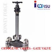 CRYOGENIC GATE VALVES 600LB