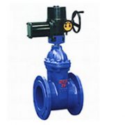 Z945X-10Q ELECTRIC GATE VALVE
