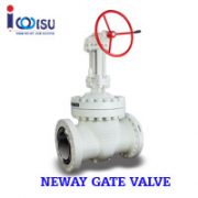 NEWAY GATE VALVE G SERIES