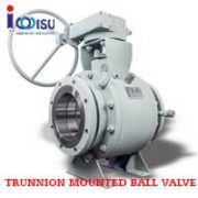NEWAY SIDE ENTRY SOFT-SEATED TRUNNION MOUNTED BS SERIES