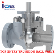 TOP ENTRY TRUNNION BALL VALVES CL150