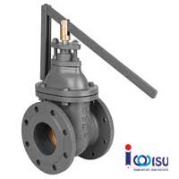 CAST IRON QUICK OPENING GATE VALVE