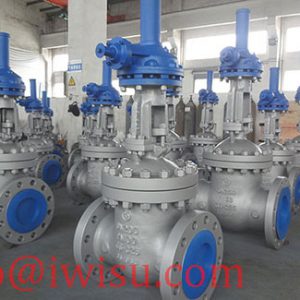 CHINA GATE VALVE 1