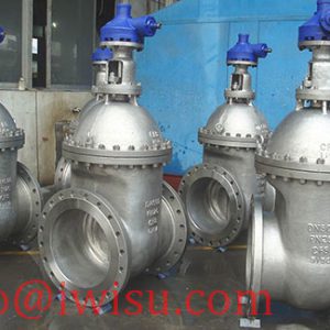 CHINA GATE VALVE 3