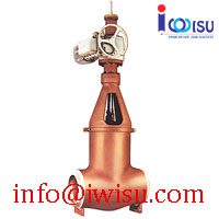 FLEXIBLE WEDGE GATE VALVES - FLEX WEDGE