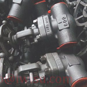 FORGED STEEL GATE VALVE