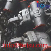 FORGED STEEL GATE VALVES