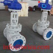 GLOBE VALVES
