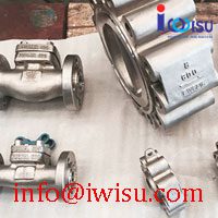 INCONEL VALVES