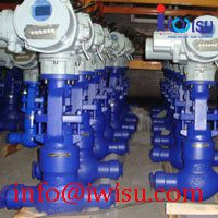PRESSURE SEAL BONNET CERAMIC GLOBE VALVES