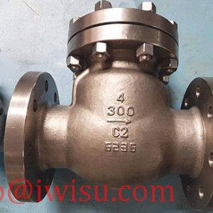 TITANIUM CHECK VALVES
