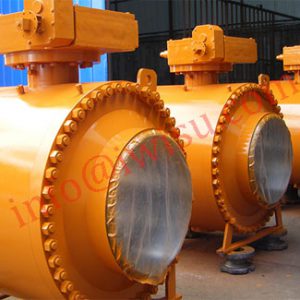 TRUNNION MOUNTED BALL VALVES 4