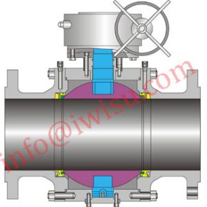 TRUNNION MOUNTED BALL VALVES 6