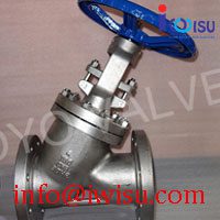 Y PATTERN CERAMIC GLOBE VALVES