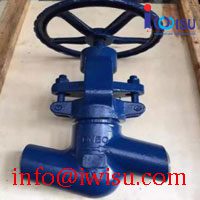 A182 F11 F22 HIGH TEMPERATURE GLOBE VALVE J61Y