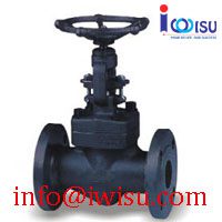 BOLTED BONNET FORGED GLOBE VALVE