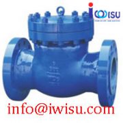 CAST STEEL CHECK VALVE 300LB