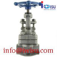 F304 - F316 - F304L - F316L FORGED GATE VALVE